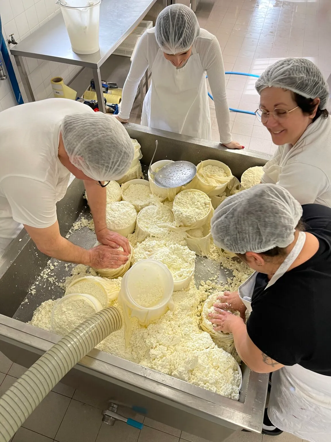 L’équipe moule le caillé à la main dans le bac de fabrication