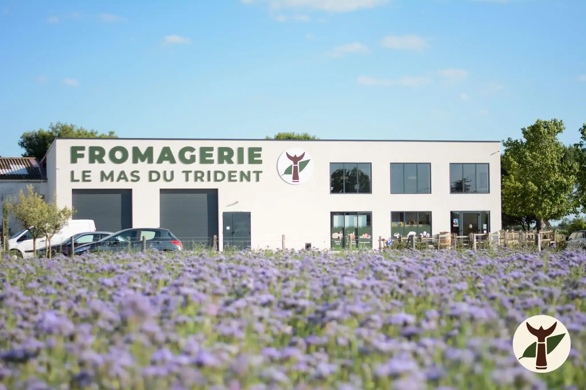 La fromagerie Le Mas du Trident à Vauvert, devant son champ en fleurs