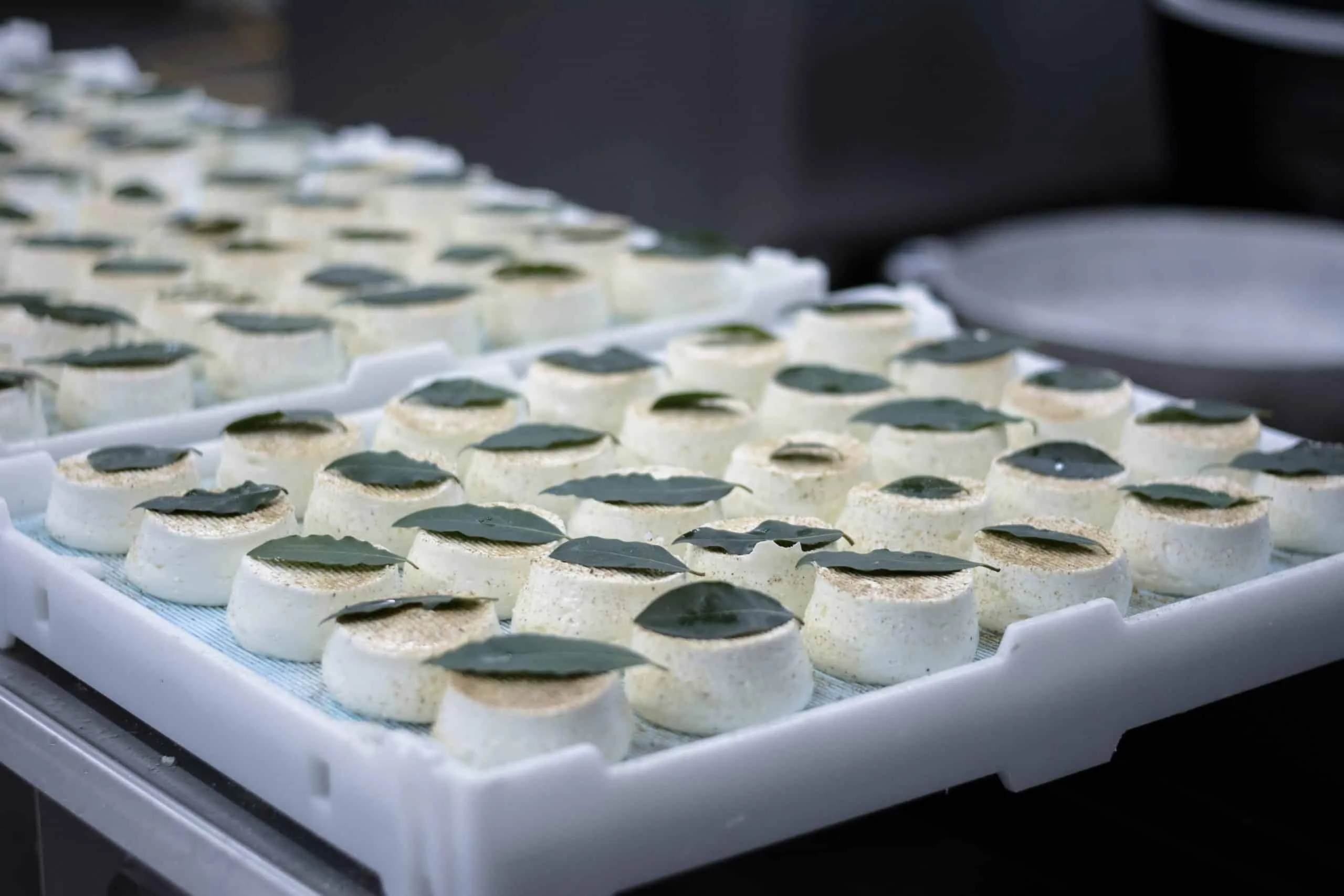 La fabrication du fromage Le Trident