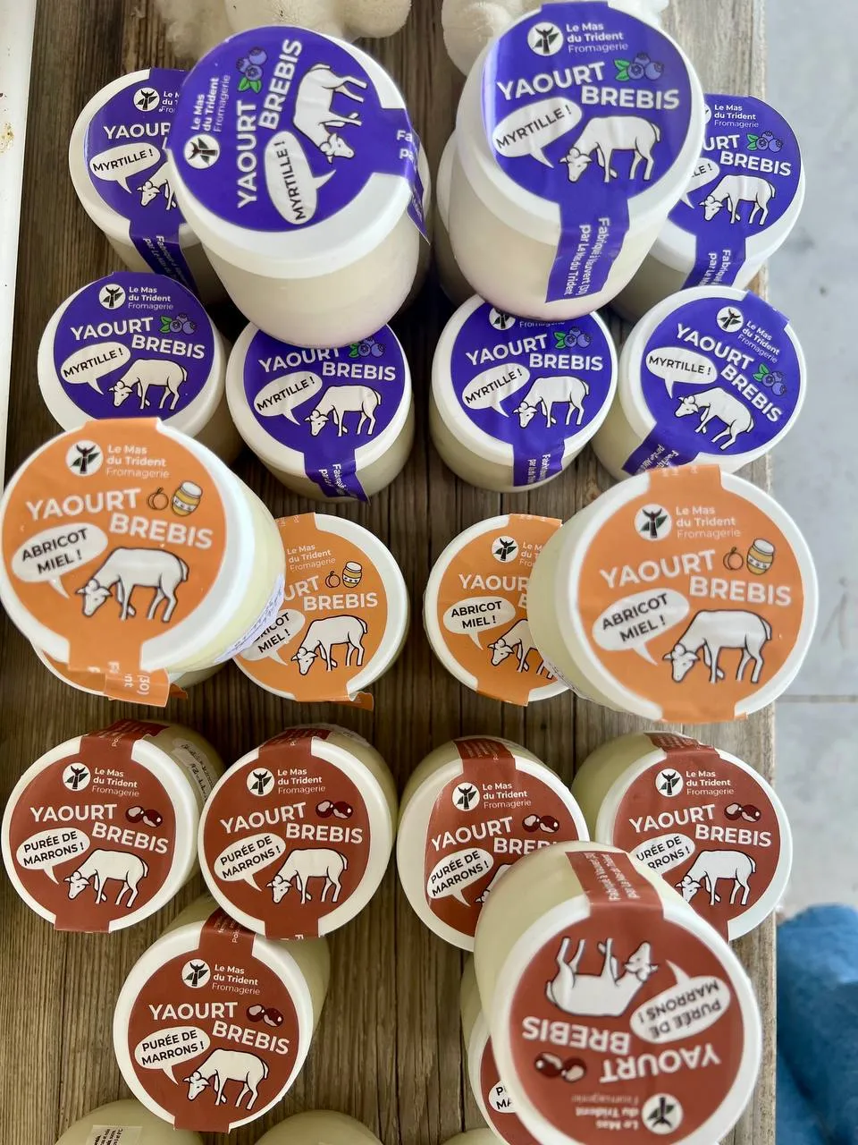 Spécialités au lait de brebis du Mas du Trident