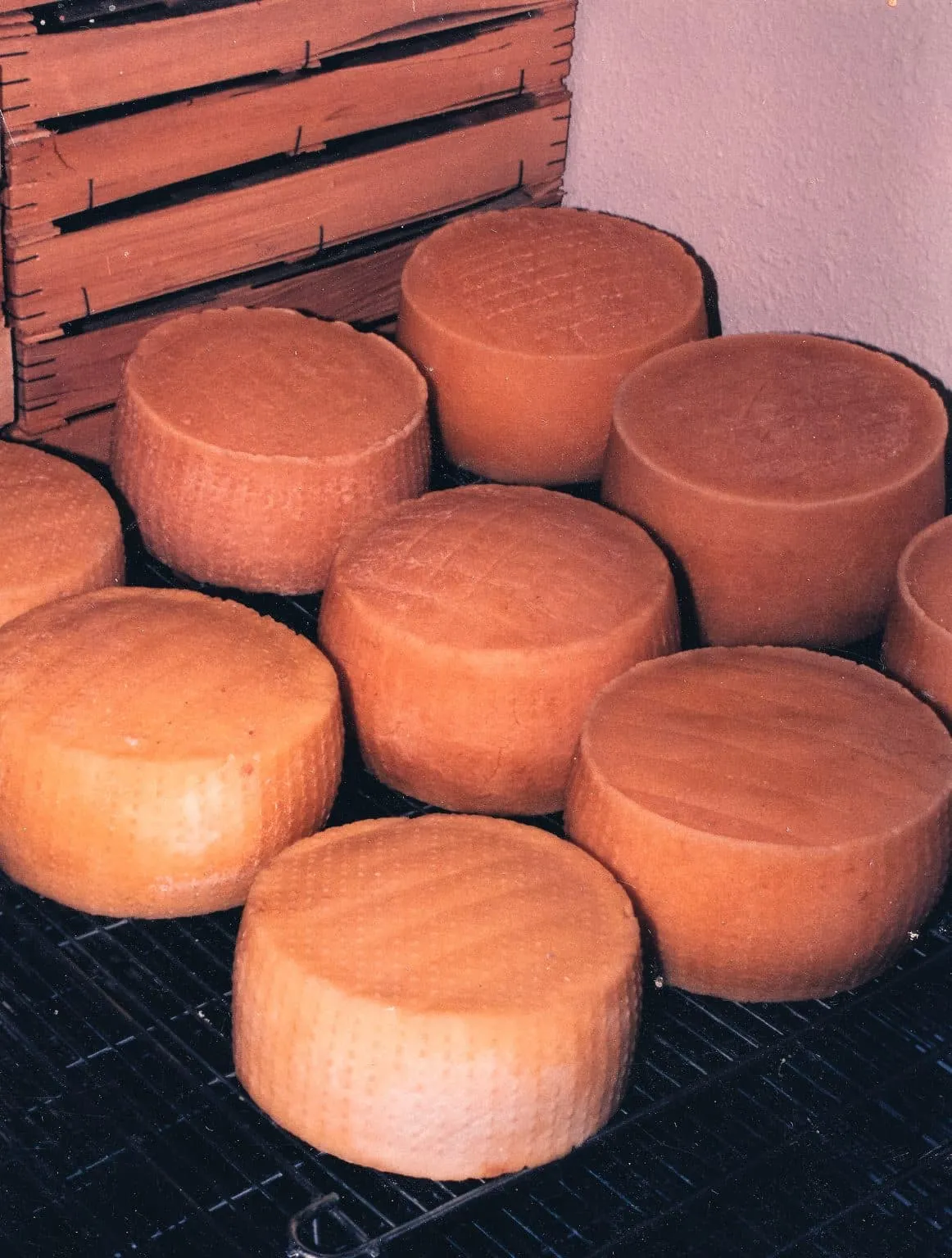 Meules de fromage en cours d’affinage sur leur claie
